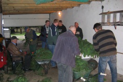 005_2007_Kutsche_Kraenzen