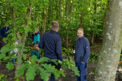 02-Kutsche-010